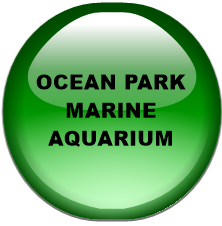 OCEAN PARK MARINE AQUARIUM