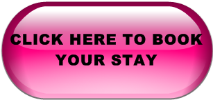 AFTER PAYMENT IS DONE CONTACT ME TO TELL ME DETAILS OF YOUR BOOKING