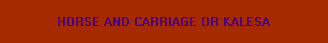 HORSE AND CARRIAGE OR KALESA